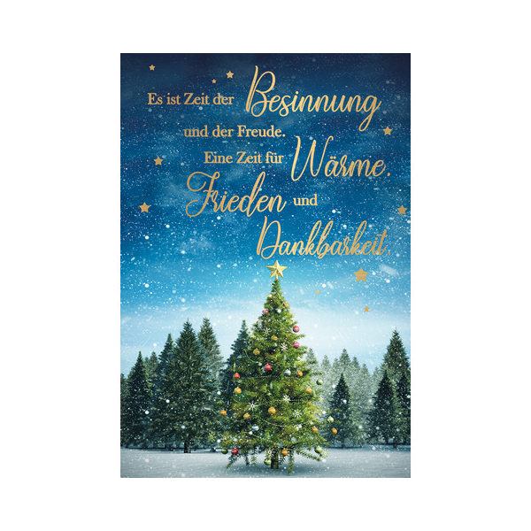 6 Stück Alpedia Weihnachtskarte 9004546573302 Head