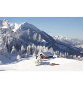 Weihnachtskarten ohne Text