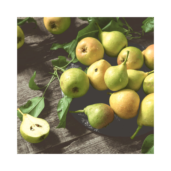 7321012106805 - Motivserviette 33x33cm Herbst 7321012106805 20 Stück 7321012106805 - Motivserviette 33x33cm Herbst 7321012106805 20 Stück