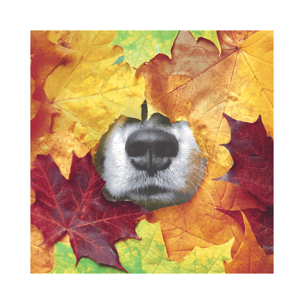 7321012106898 - Motivserviette 33x33cm Herbst 7321012106898 20 Stück 7321012106898 - Motivserviette 33x33cm Herbst 7321012106898 20 Stück