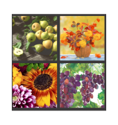 Motivserviette 33x33cm Herbst 1 sortiert