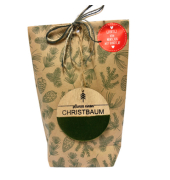 Wundertüte Pflanz einen Christbaum grün