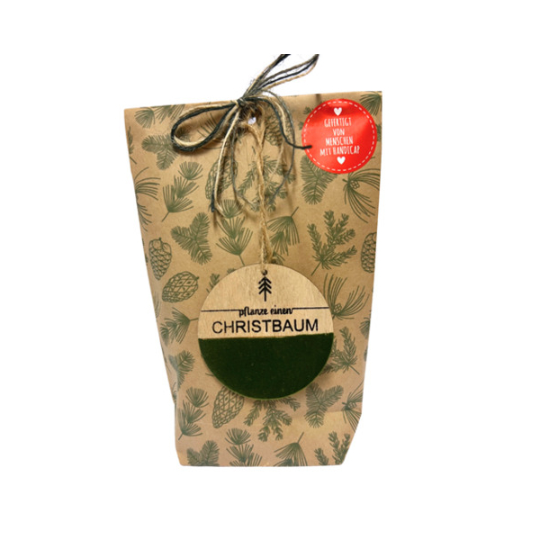4250144779522 - Wundertüte Pflanz einen Christbaum grün 4250144779522 WUNDERLE