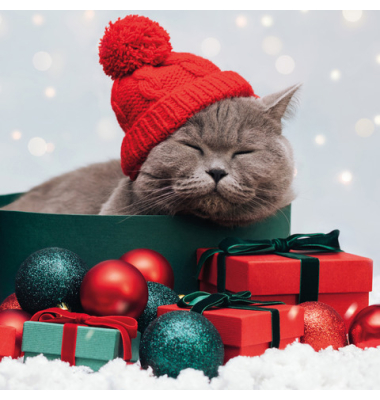 Weihnachtsservietten 210873, mehrfarbig / Katze und Geschenke, 3-lagig, 33x33cm