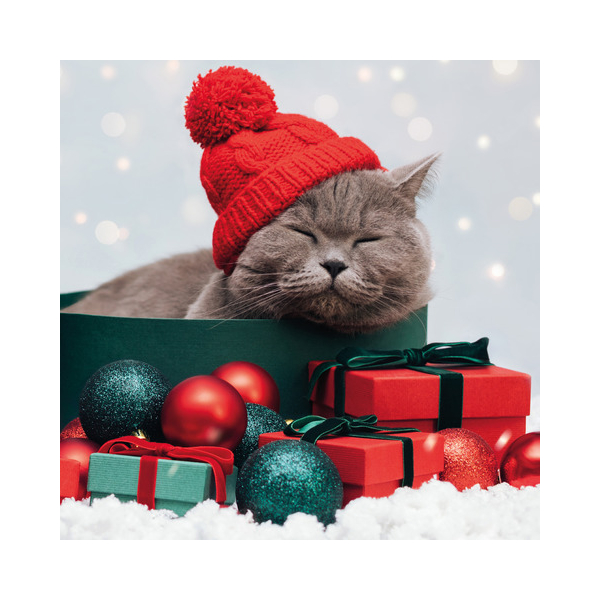 7321012108731 - Weihnachtlicher Zelltuchserviette 33x33cm Katze 7321012108731 Paper+Design 7321012108731 - Weihnachtlicher Zelltuchserviette 33x33cm Katze 7321012108731 Paper+Design