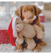 Weihnachtlicher Zelltuchserviette 33x33cm Hund