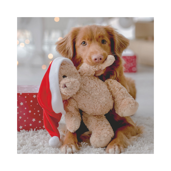 7321012108748 - Weihnachtlicher Zelltuchserviette 33x33cm Hund 7321012108748 Paper+Design 20 Stück