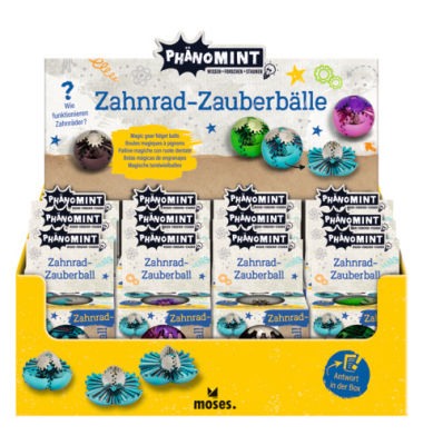 Zahnradball PhänoMINT