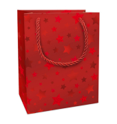 Weihnachtlicher Geschenktragetasche Sternchen rot