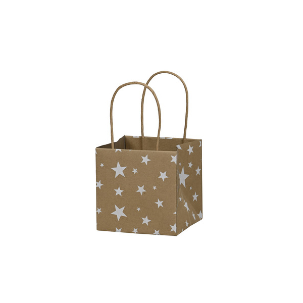 12 Stück Alpedia Weihnachtlicher Geschenktragetasche Sterne ws-natur 4060706234792 Head