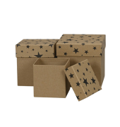 Weihnachtlicher Geschenkkarton Sterne sw-natur