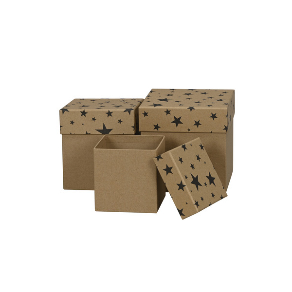 4060706234891 - Weihnachtlicher Geschenkkarton Sterne sw-natur 4060706234891 Alpedia