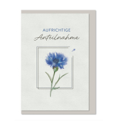 Trauerkarten 04-231 Aufrichtige Anteilnahme wei&szlig;/schwarz