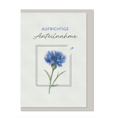 Trauerkarten 04-231 Aufrichtige Anteilnahme wei&szlig;/schwarz