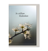 Trauerkarten 04-674 bunt