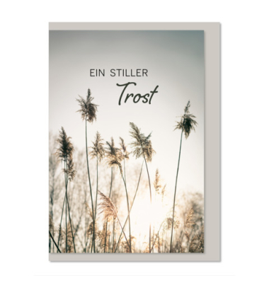 Trauerkarten 04-681 Ein stiller Trost bunt