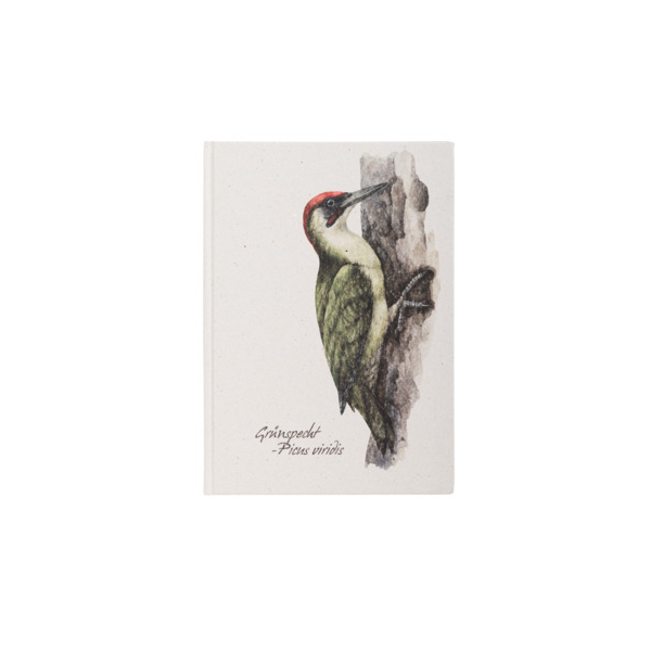 4009212065629 - Notizbuch 26110-15 gepunktet 80g 64 Blatt 4009212065629 Pagna