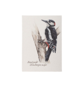 Notizbuch 26111-15, gepunktet, 80g, 64 Blatt