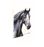 Notizbuch A5 black horse 128S
