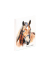 Notizbuch A5 brown horse 128S
