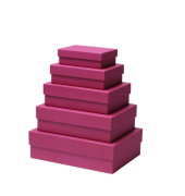 Geschenkkarton Berry