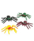 Spinne Grusel sortiert