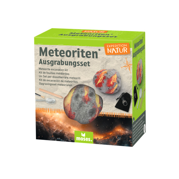 8 Stück Moses Ausgrabungsset Expedition Natur 4033477098979 Moses