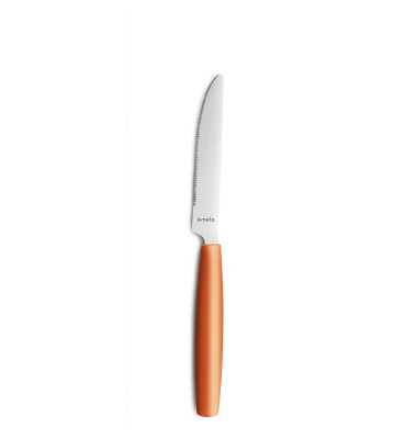 Menümesser 224mm mango 12St Menümesser 224mm mango 12St