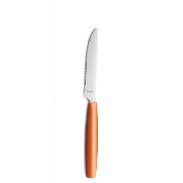 Amefa Menümesser 224mm mango 12St 8711155476726 Amefa 12 Stück