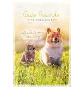 Geburtstagskarten 51-5122 11,5x17 cm 115mm x 170mm (BxH) Tiere bunt