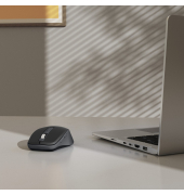 Multi-Device-Maus WM-450 kabellos sw