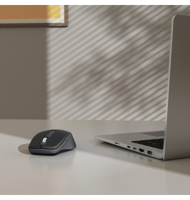 Multi-Device-Maus WM-450 kabellos sw