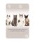 Spiel Das große Katzen Quiz