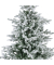 Weihnachtsbaum Everlands Grandis Tanne mit Schnee, 689762, 210x150cm (Hx&Oslash;), gr&uuml;n/wei&szlig;