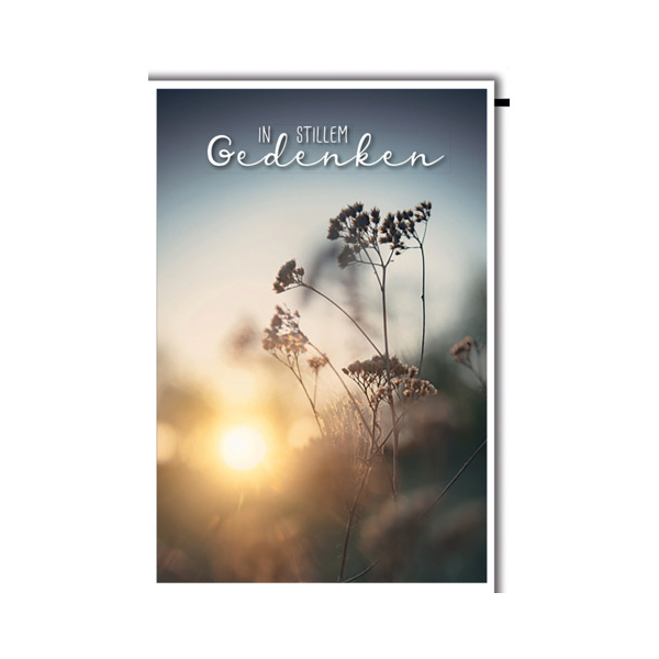 5 Stück Alpedia Trauerkarten 811387 11,5x17 cm 115mm x 170mm (BxH) bunt 9004546581246 Alpedia
