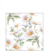 Motivseriviette 25x25cm Gänseblümchen
