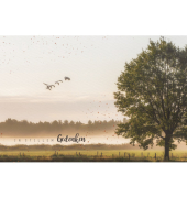 Trauerkarten 81-3782 17x11,5 cm 17cm x 115mm (BxH) bunt