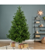 Weihnachtsbaum EVERLANDS Nordmann Tanne 684307 210cm