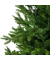 Weihnachtsbaum Everlands Nordmann Tanne, 684306, 180x130cm (Hx&Oslash;), gr&uuml;n