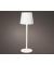 Tischlampe LED ws