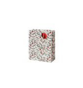 Geschenktasche 13698563000
