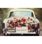 Gl&uuml;ckwunschkarten 91-2262 17x11,5 cm 17cm x 115mm (BxH) bunt