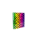 Ringbuch Zebra/Leopardenmuster 2764343-99, A4 2 Ringe Papier neon sortiert