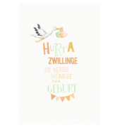 Freudiges Ereignis Zwilling