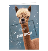 Gl&uuml;ckwunschkarten 41-16104 11,5x17 cm 115mm x 170mm (BxH) bunt