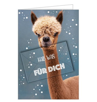 Glückwunschkarte Geldgeschenk