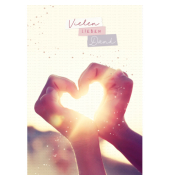 Dankeskarten 41-2774 11,5x17 cm 115mm x 170mm (BxH) Vielen Dank bunt