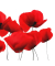 Servietten, 33 x 33 cm, Motiv Red Poppy