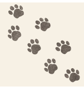Servietten, 33 x 33 cm, Motiv Paws
