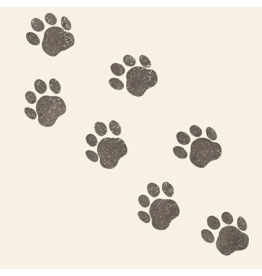 Servietten, 33 x 33 cm, Motiv Paws Servietten, 33 x 33 cm, Motiv Paws